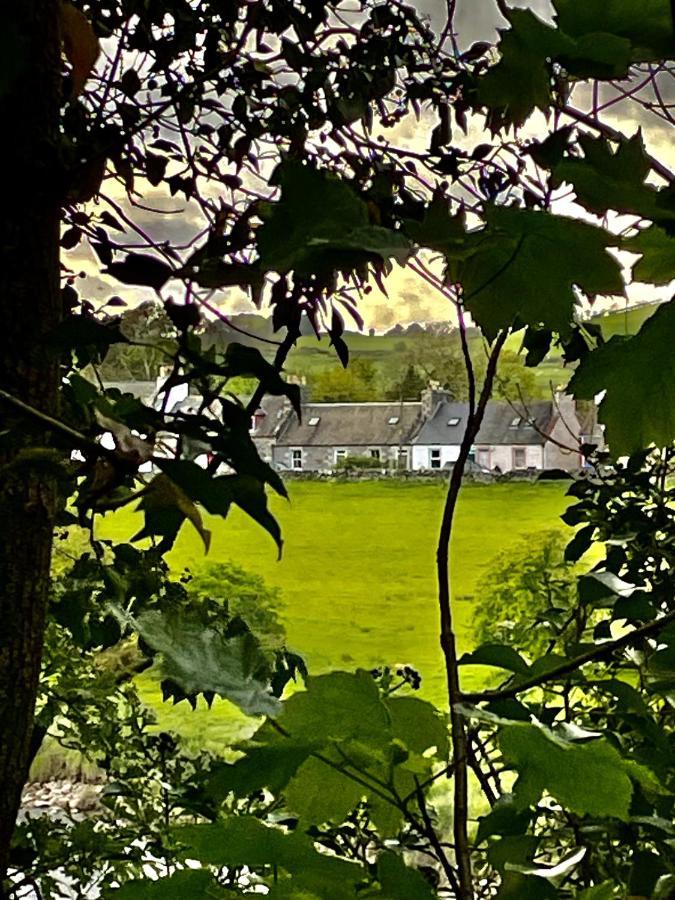 Apple Cottage Нютън Стюарт Екстериор снимка